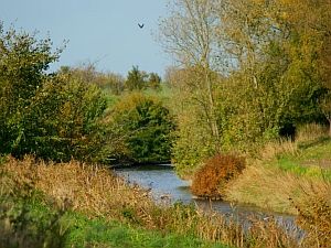 Learning Dutch is getting to know Flanders and the Netherlands with your heart.
