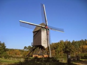 Private Dutch immersion courses surrounded by nature