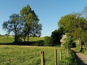 Residential crash courses Dutch in a calm, natural and study friendly environment